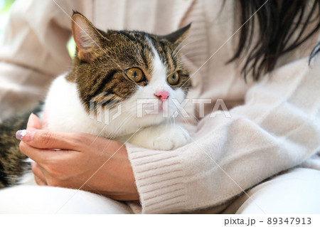 Young Asian woman working from home with her cat 89347913