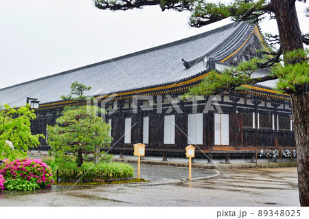 京都 雨の三十三間堂 89348025