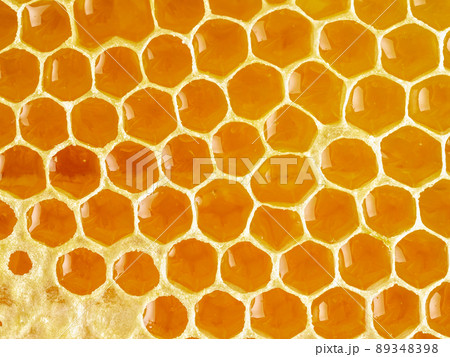 bee honeycomb closeup, fresh stringy dripping sweet honey, macro background bee honeycomb closeup, fresh stringy dripping sweet honey, macro background 89348398