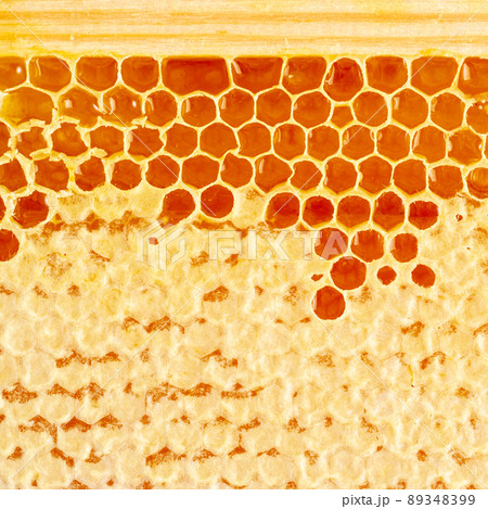 bee honeycomb closeup, fresh stringy dripping sweet honey, macro background bee honeycomb closeup, fresh stringy dripping sweet honey, macro background 89348399