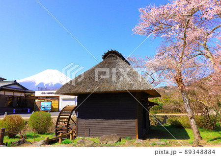山梨県忍野八海の桜 89348884