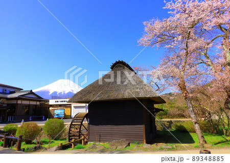 山梨県忍野八海の桜 山梨県忍野八海の桜 89348885