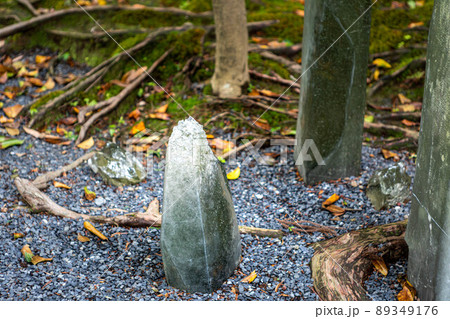 法然院、参道に残雪をおもわせるガラス枯山水と木の根の地面 89349176