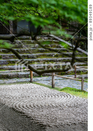 法然院、初夏の白砂壇と青もみじ 89349189