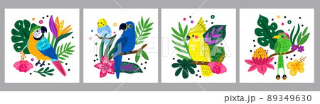 Tropical birds posters. Funny rainforest creatures. Bright parrots and jungle plants compositions. Exotic animals. Parakeet or macaw on palm branches. Vector summer Hawaiian cards set 89349630