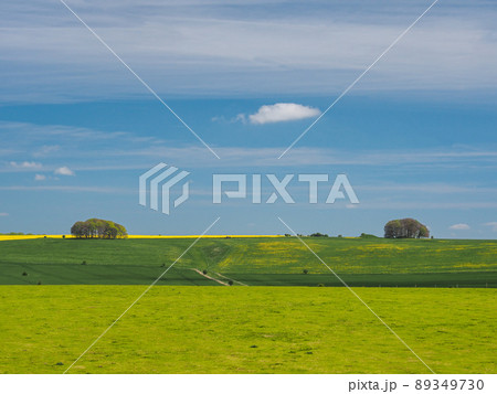 Springtime view of green fields to yellow rapeseed and trees, Avebury, Wiltshire 89349730