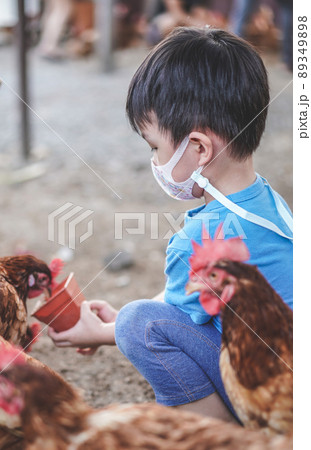 Kid feeding chickens at a chicken farm. 89349898