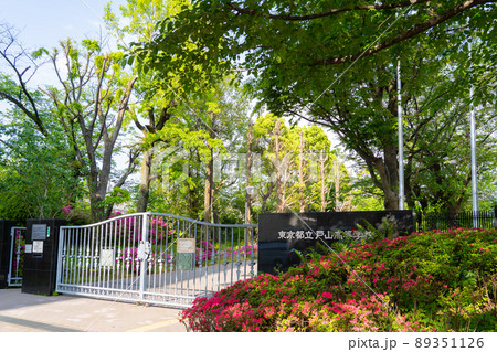 東京都立戸山高等学校 東京都立戸山高等学校 89351126