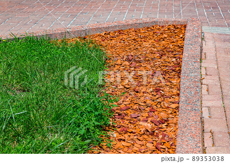 pine mulch on the garden bed. Parkland landscape design with wooden chips on flower bed with green grass lit by sun light near granite curbe with stone tile walkway, nobody. pine mulch on the garden bed. Parkland landscape design with wooden chips on flower bed with green grass lit by sun light near granite curbe with stone tile walkway, nobody. 89353038