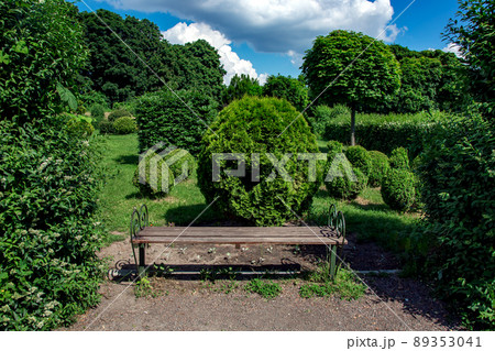 bench with wooden seat near clipped evergreen thuja bushes in topiary different shape in the background deciduous trees illuminated by sunlight summer with clouds on blue sky, nobody. bench with wooden seat near clipped evergreen thuja bushes in topiary different shape in the background deciduous trees illuminated by sunlight summer with clouds on blue sky, nobody. 89353041