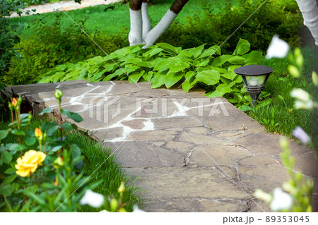 a path in the park is paved with decorative stone around a flower bed with roses and a hosta with an iron ground lantern, summer day landscape of the park, nobody. 89353045