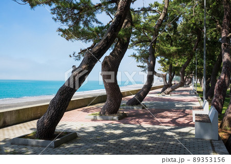 Modern Seafront promenade with trees in Kobuleti, Georgia Modern Seafront promenade with trees in Kobuleti, Georgia 89353156