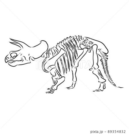 Dinosaur skeleton.Vector Image triceratops skeleton isolated on green background.Can be used as logo. For flat illustrations 89354832