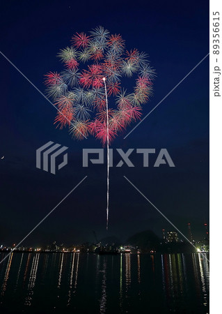 彩色千輪菊 彩色千輪菊 89356615