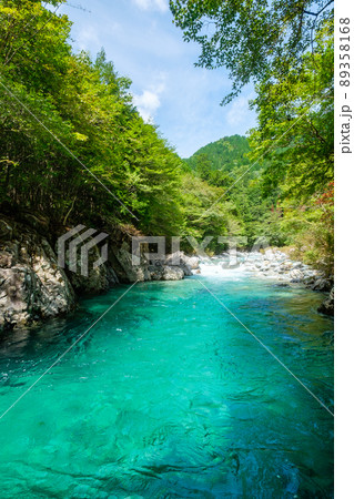 阿寺渓谷（夏） 89358168
