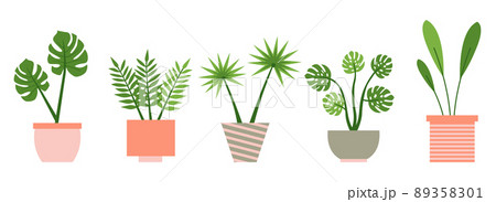 Palm, sansevieria, monstera, fern, flower flat set Palm, sansevieria, monstera, fern, flower flat set 89358301