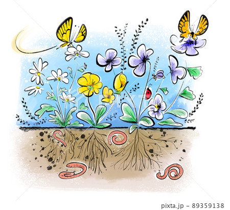 土の中の断面図と花 89359138
