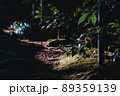 龍泉寺 89359139