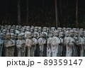 龍泉寺 89359147
