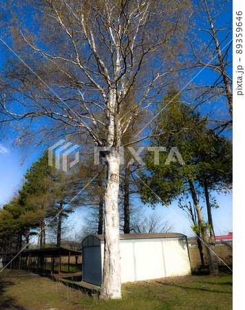 思い出の風景 心の故郷 麓郷 思い出の風景 心の故郷 麓郷 89359646