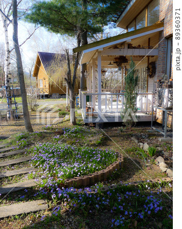 北の国の麓郷から春の便りを送ります。 89360371