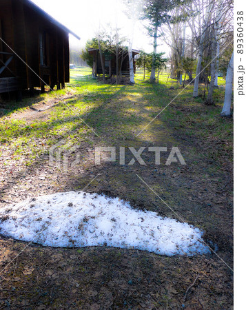 北の国の麓郷から春の便りを送ります。 89360438