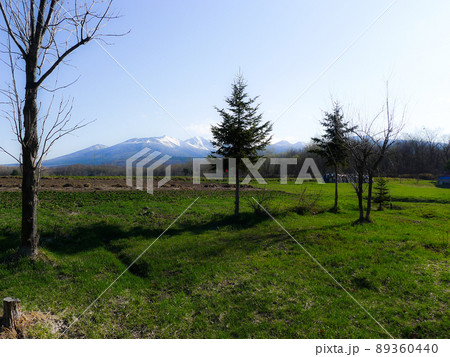 北の国の麓郷から春の便りを送ります。 89360440