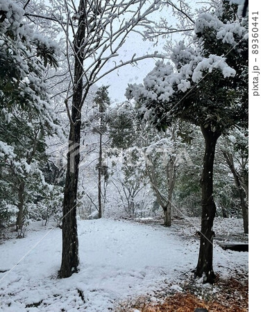 これでも東京 89360441