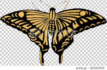Moth 23_Swallowtail Moth 23_Swallowtail 89360948