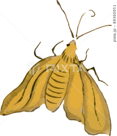 蛾20 蛾20 89360951