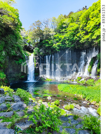 白糸の滝(富士宮市) 白糸の滝(富士宮市) 89361353