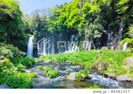 白糸の滝（富士宮市） 89361357