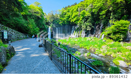 白糸の滝(富士宮市) 白糸の滝(富士宮市) 89361432