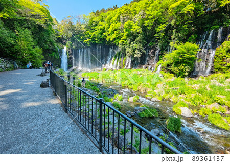 白糸の滝(富士宮市) 白糸の滝(富士宮市) 89361437