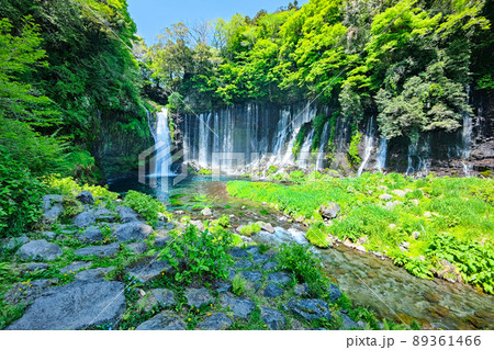 白糸の滝（富士宮市） 89361466