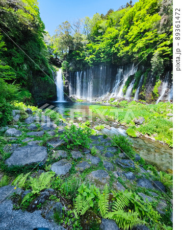 白糸の滝（富士宮市） 89361472