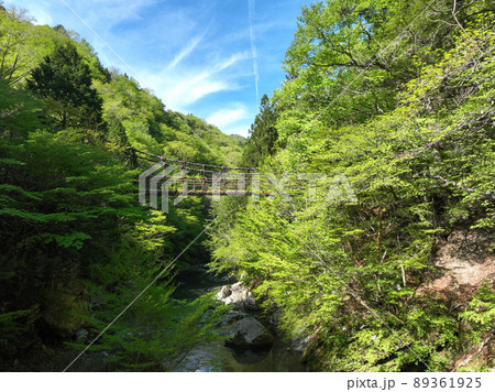 徳島県三好市 奥祖谷二重かずら橋 男橋 徳島県三好市 奥祖谷二重かずら橋 男橋 89361925