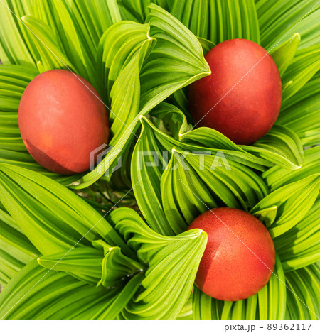 Home-made red Easter eggs in a spring garden Home-made red Easter eggs in a spring garden 89362117
