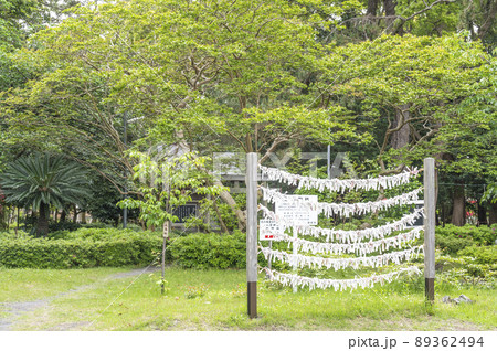 静岡・三保半島に建つ羽衣伝説ゆかりの御穂神社 89362494