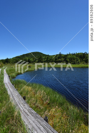 鬼怒沼山トレッキング 鬼怒沼山トレッキング 89362606