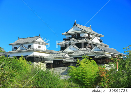 【愛媛県】新緑の松山城　天守閣 89362728
