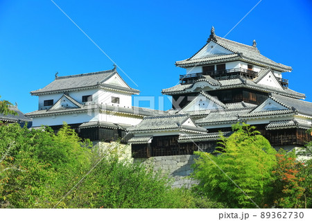 【愛媛県】新緑の松山城　天守閣 89362730