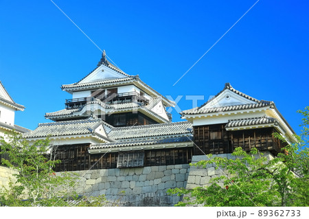 【愛媛県】新緑の松山城 天守閣 【愛媛県】新緑の松山城 天守閣 89362733