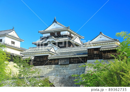 【愛媛県】新緑の松山城 天守閣 【愛媛県】新緑の松山城 天守閣 89362735