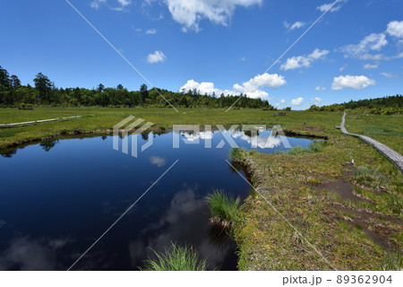 鬼怒沼山トレッキング 鬼怒沼山トレッキング 89362904