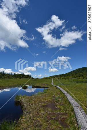 鬼怒沼山トレッキング 89362907