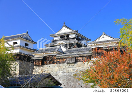 【愛媛県】紅葉の松山城 天守閣 【愛媛県】紅葉の松山城 天守閣 89363001