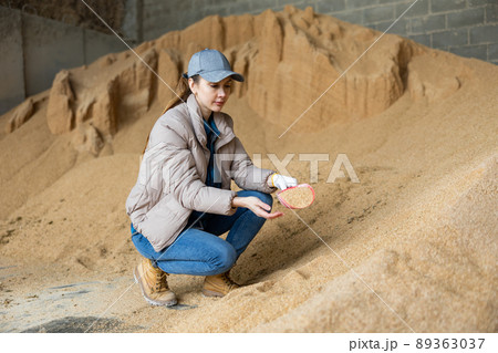 Woman agronomist squatting at bunch of soybean husk 89363037