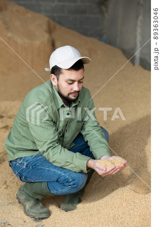 Farmer squatting at heap of soybean husk 89363046