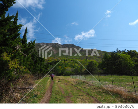 伊吹山登山 89363076